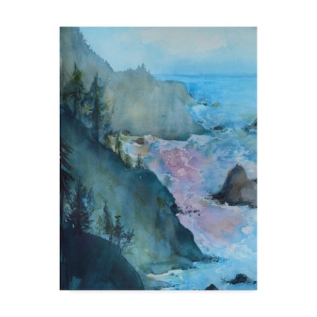 Marietta Cohen Art And Design 'View From The Cliff 2' Canvas Art,35x47